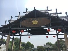 -荷塘月色湿地公园·向阳花洲