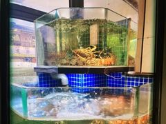 -小厨师·二十年沈家门小海鲜(百井坊巷店)