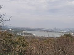 -香雪海