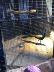 -酷嗒动物文化乐园(cutezoo西溪乐天城店)