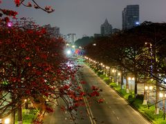 -小草糖水(海棠村店)