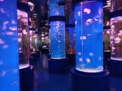 -石林冰雪海洋世界