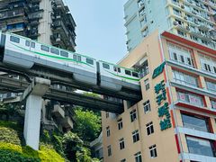 -李子坝梁山鸡(李子坝大鸡哥店)