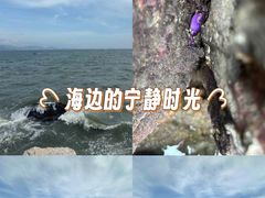 -坝光海滩