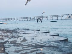 -星海广场