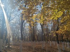 -长春世界雕塑园冰雪艺术天地