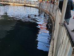 -渔岛海洋度假区