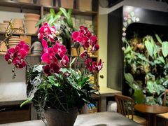 -自由生长植物工作室(深港花卉中心店)