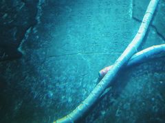 -白鹤梁水下博物馆