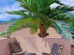 -广州市流溪河国家森林公园