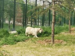 -太原动物园