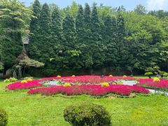 -庐山风景区花径公园