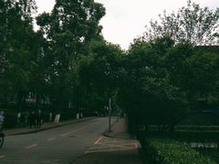 -四川大学(华西校区)