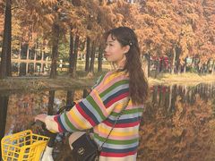 -东湖落雁景区