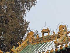 -药王庙(安国市)