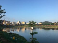 -立新湖公园