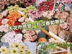 -溪岸路花鸟市场