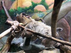 -华夏文旅西安度假区