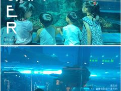 -乐从天佑城海洋馆