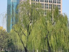 -陆家嘴中心绿地