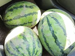 -西郊国际农产品交易中心