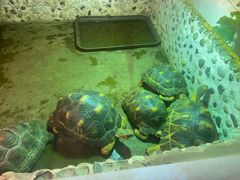 -上海昆虫博物馆