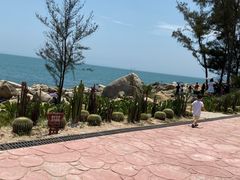 -广东惠东海龟国家级自然保护区