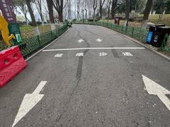 -金银湖国家城市湿地公园
