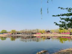 -永定河休闲森林公园