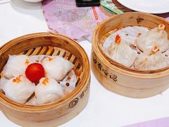 -有心德(麦地店)