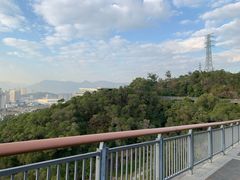 -金鸡山公园
