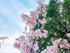 -静安雕塑公园