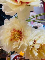 -花隐·美芙炫海菲秀皮肤管理中心