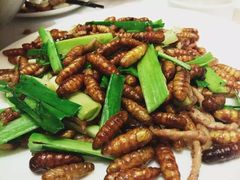 -金春禧(世茂国际广场店)