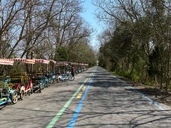 -盐城丹顶鹤湿地生态旅游区