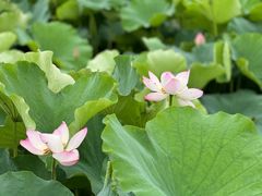 -梁鸿国家湿地公园