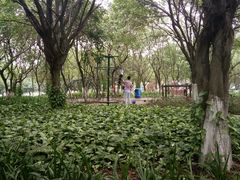 -东莞植物园