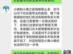 -爱贝特动物医院·猫口炎专科