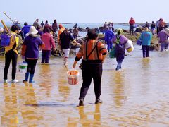-日照灯塔风景区