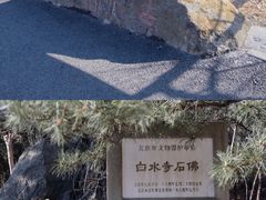 -白水寺森林公园
