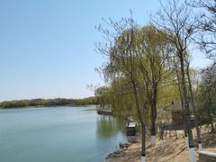 -大兴滨河森林公园