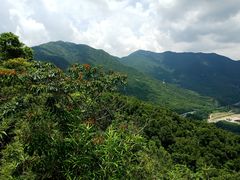 -坝光海滩
