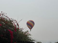 -中国科学院西双版纳热带植物园