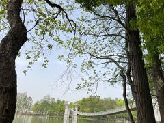 -东湖落雁景区