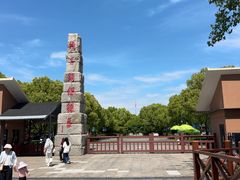 -中国扬子鳄村
