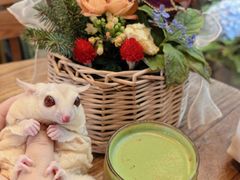 -萤火虫咖啡(砖著店)