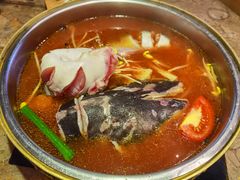 酸汤鱼-酸喜·三度酸·贵州味