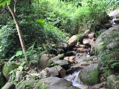 -火炉山森林公园