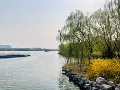 -大兴滨河森林公园