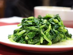 酒香豆苗-老吉士酒家(天平路店)